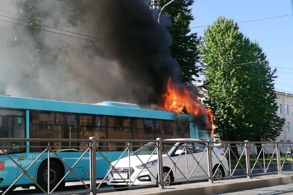 На Светлановском проспекте с горел автобус. Фото: vk.com/spb_today