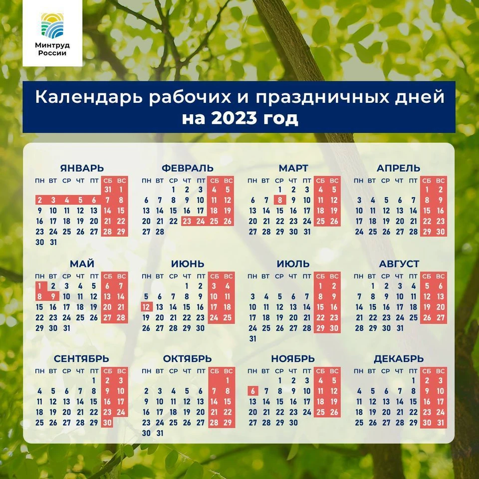 Календарь выходных и праздников. Фото: Министерство труда Омской области