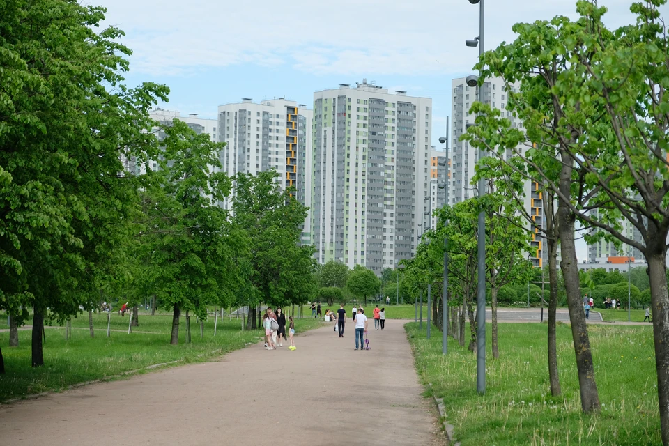 Благоустройство Заневского парка в Петербурге завершится в конце лета