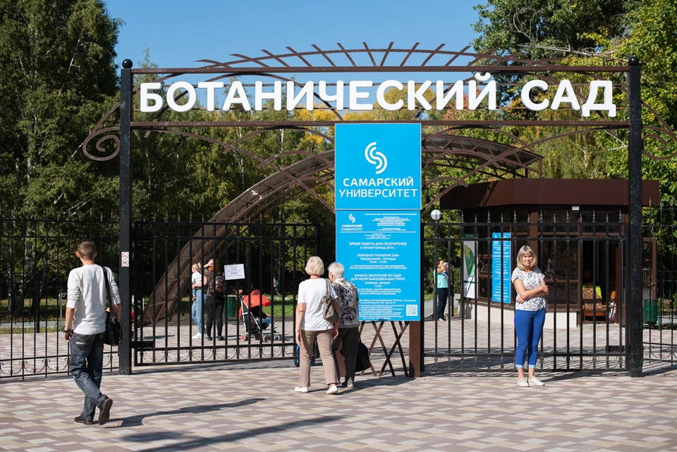 Избавляться от насаждений можно будет в случае реконструкции объектов озеленения