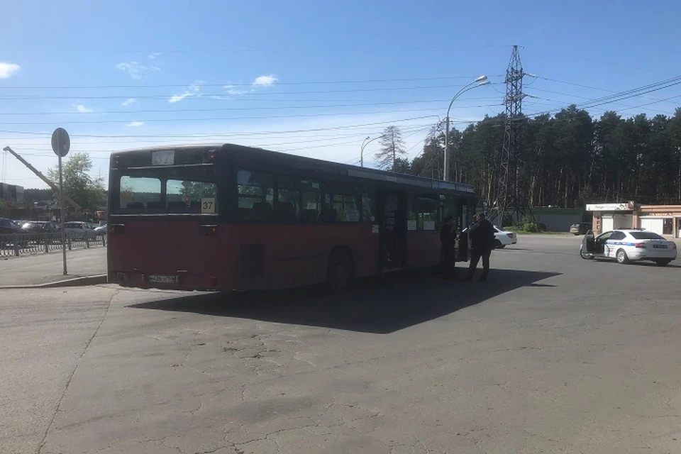 За рулем автобуса находился 54-летний водитель. Фото: ГИБДД Екатеринбурга