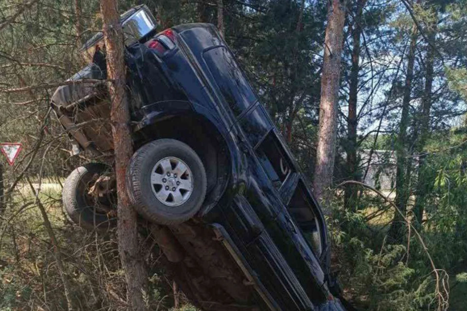 Водитель не справилась с управлением, наехала на дерево и повисла на нем. Фото: УВД Брестского облисполкома