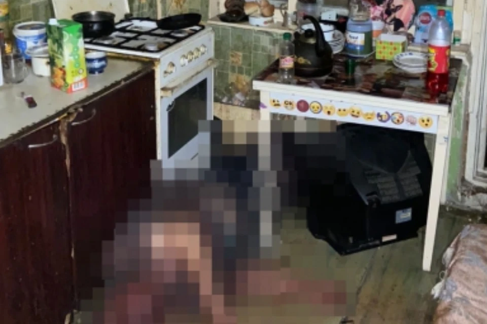 Женщина жаловалась сыну, что сожитель обзывал ее.