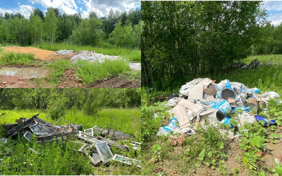 Участок, на котором незаконно складирован мусор, находится в аренде у АО «СИБАГРО». Фото: сайт областного управления Россельхознадзора.