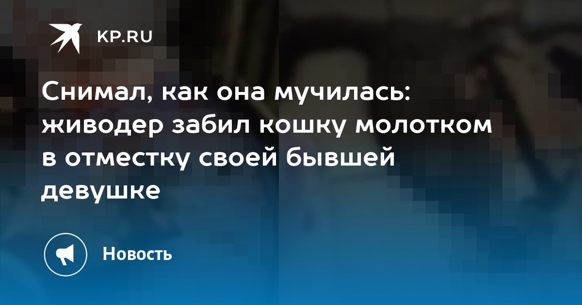 Забили кошку