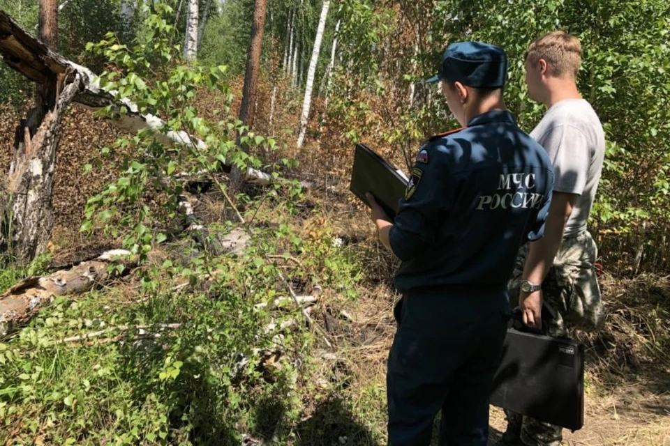 Четыре уголовных дела по лесным пожарам в Иркутской области отправили в суд