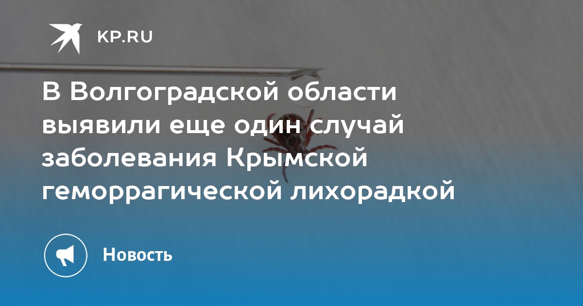 Крымская болезнь. Марбургская геморрагическая лихорадка.