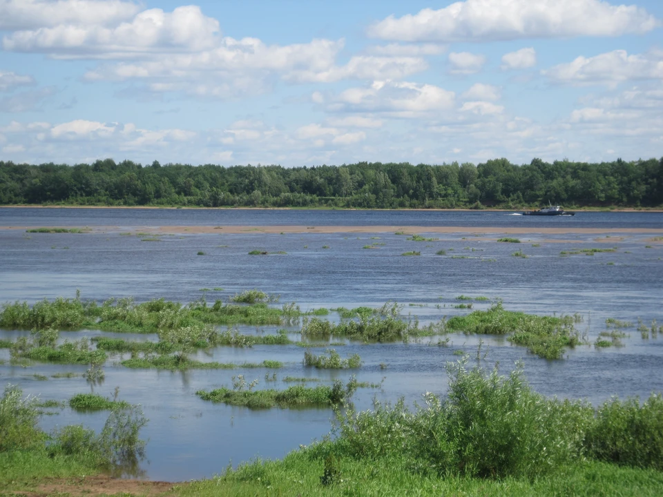 За один день в реках Воткинского района Удмуртии утонули двое мужчин