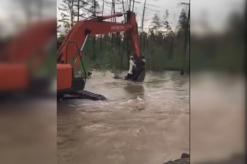 Фото: скриншот видео