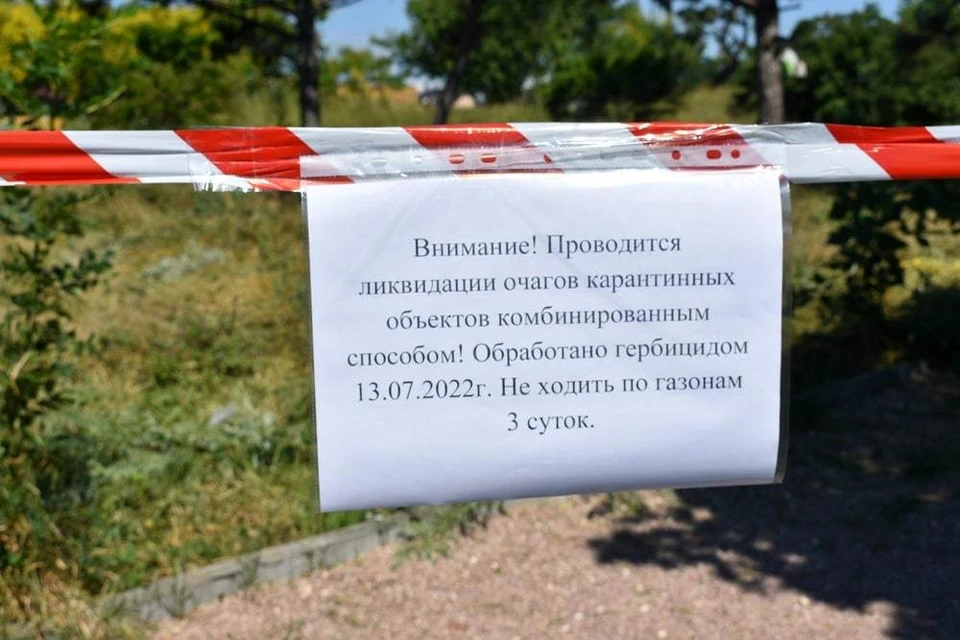 Фото: пресс-служба администрации Симферополя