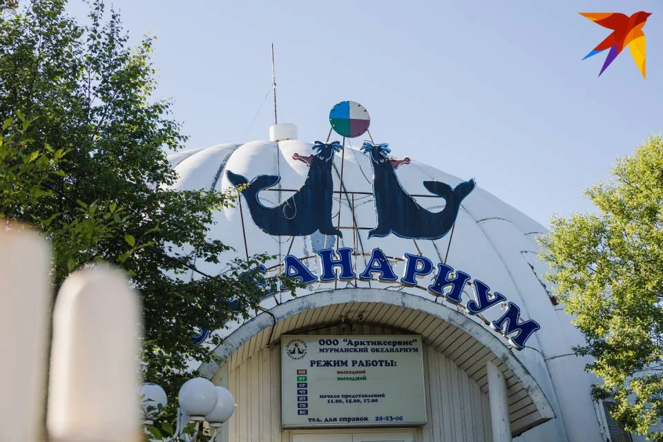 Океанариум пока остается частной собственностью.