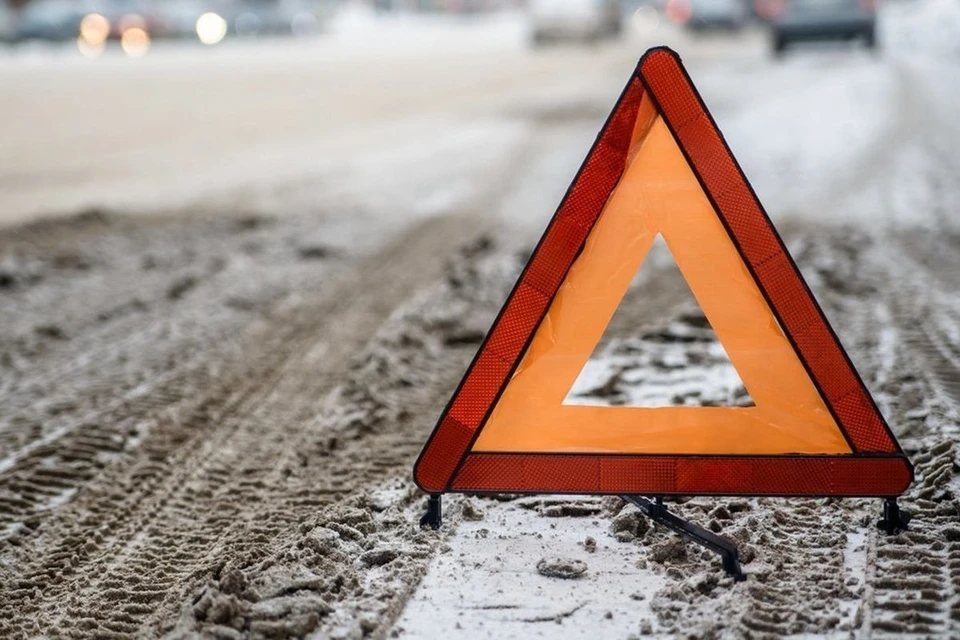 В Туле Hyundai сбил лося: два человека погибли на месте