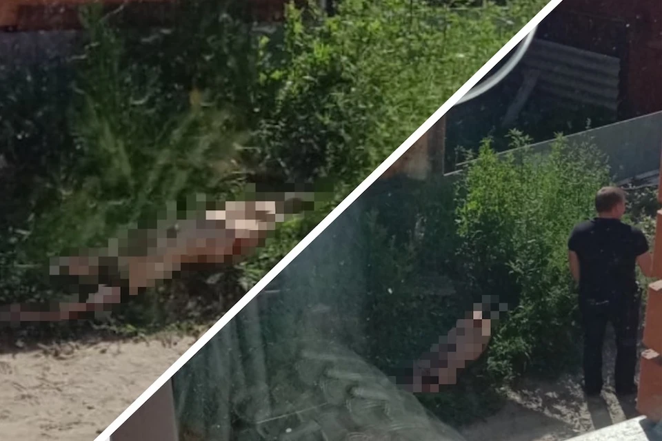По словам очевидца, соседка видела мужчину, притащившего труп. Фото: предоставлены очевидцем