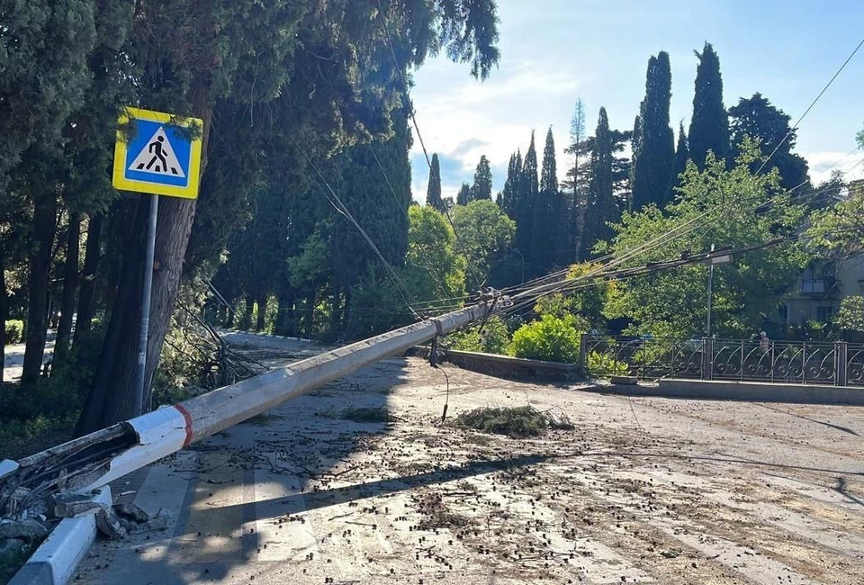 Фото: Янина Павленко/Telegram