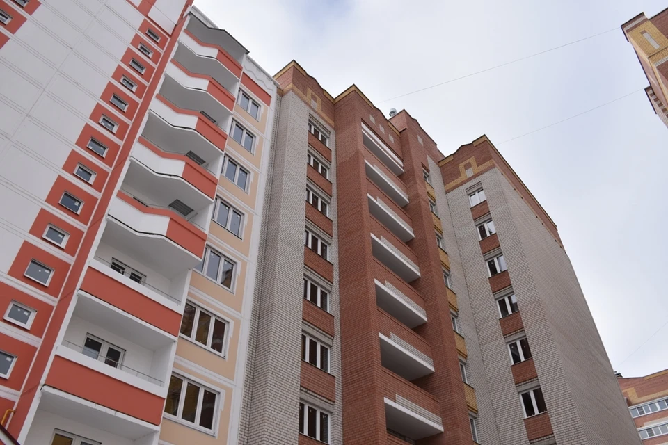 Фото: пресс-служба губернатора Костромской области
