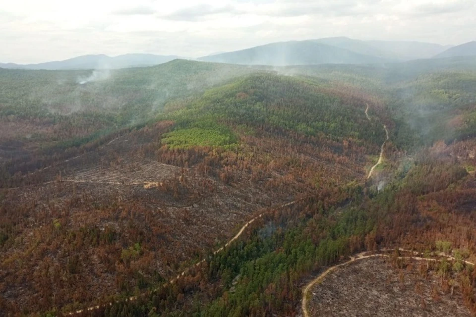 Масштабный лесной пожар потушили спустя две недели в Хабаровском крае