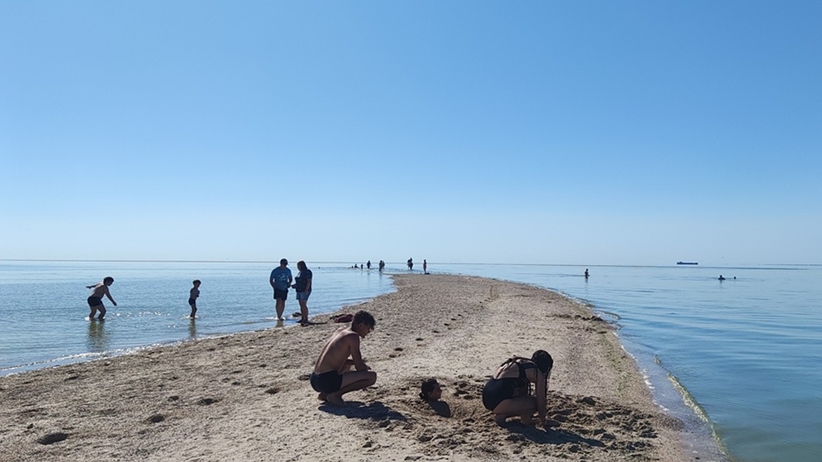 Дохлая рыба, воды по колено и море удовольствий: что ждет туристов на Павло-Очаковской  косе - KP.RU