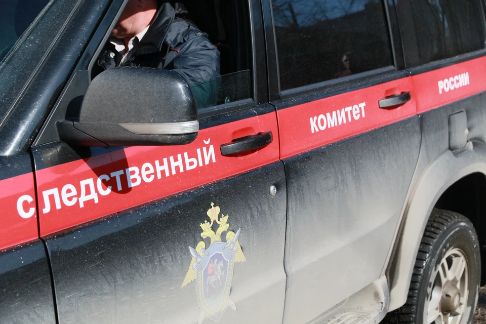 Возбуждено уголовное дело