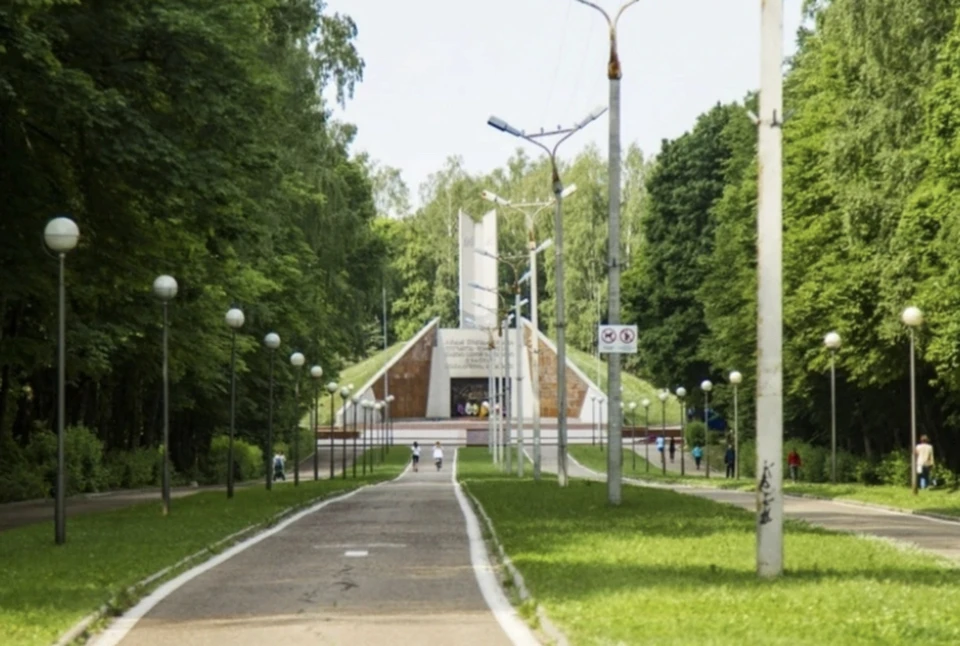 Праздник в рамках проекта «Радуга здоровья» пройдёт в Реадовском парке Смоленска. Фото: департамент здравоохранения Смоленской области.