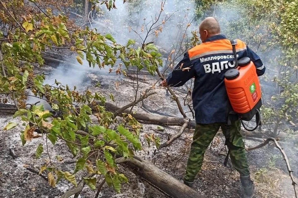 В Ростовской области пожарные-добровольцы получили губернаторские награды.