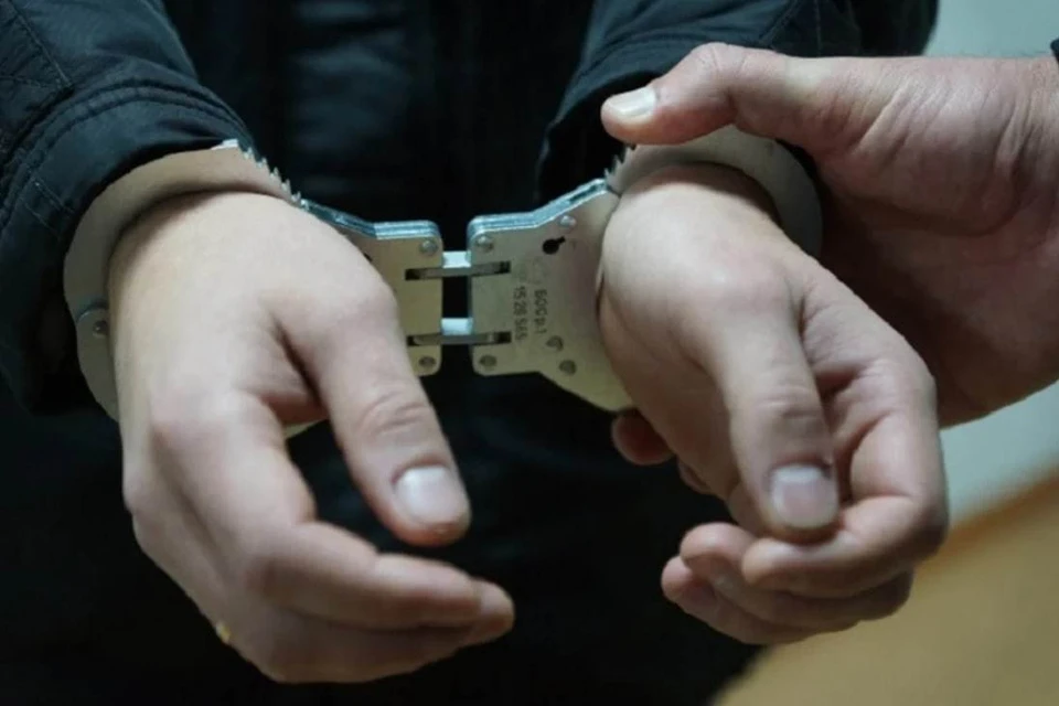На период следствия нападавших заключили под стражу