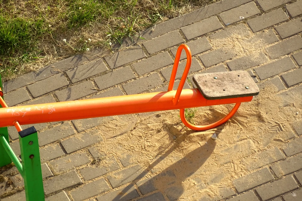 В Ельце из семьи забрали 6 детей