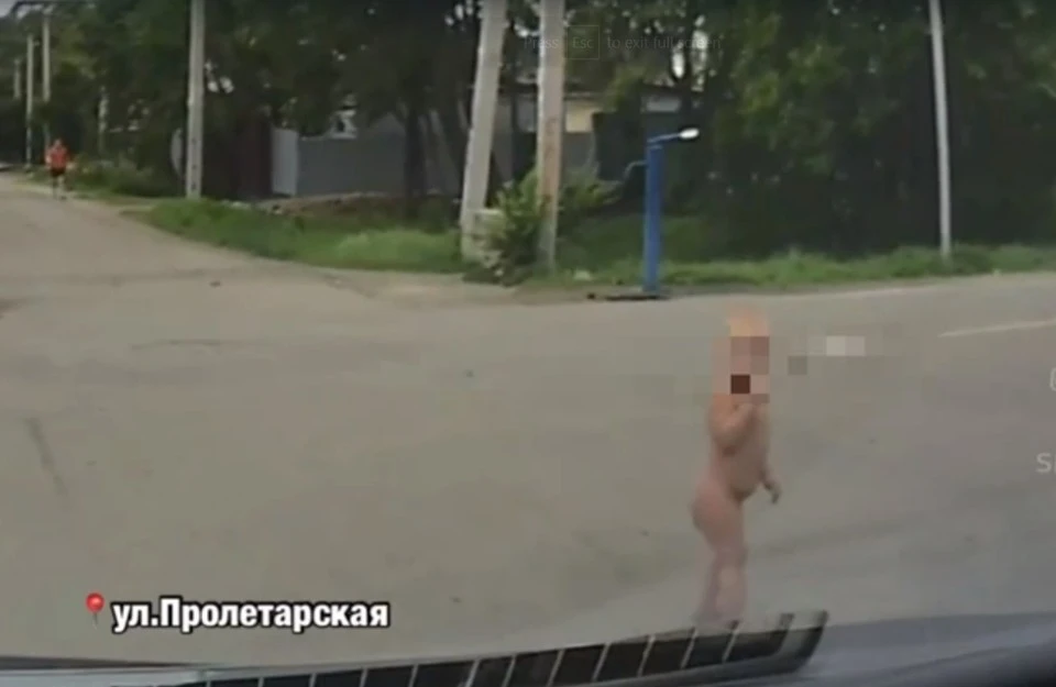 Малыша заметили водители в Уссурийске. Фото: принтскрин видео, mark2_che.