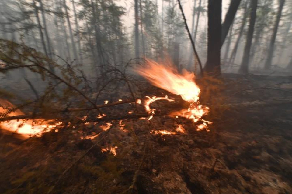 С начала сезона в регионе зарегистрировано 34 лесных пожара.