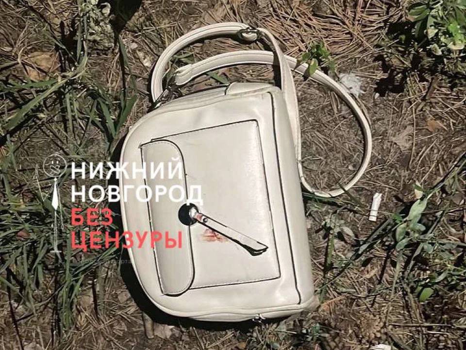 Банда из четырех человек орудует в Сормовском парке. ФОТО: Нижний Новгород. Без цензуры