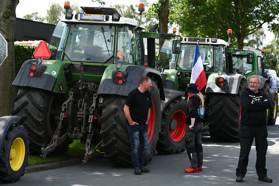 Голландские фермеры устроили «навозные протесты» из-за экологических реформ