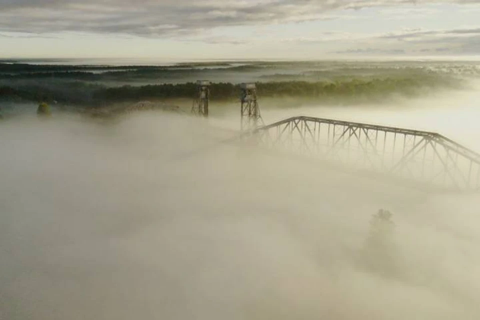 Плотный туман скрыл Неву в Ленобласти / Фото: Александр Егорин