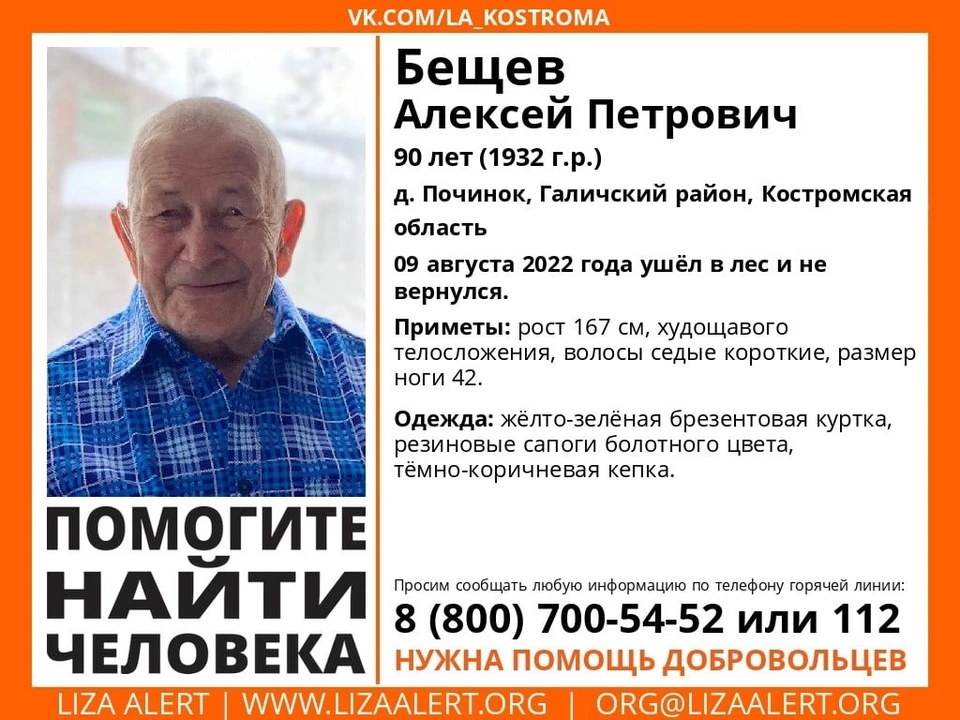 Фото: ДПСО "Лиза Алерт" Костромской области
