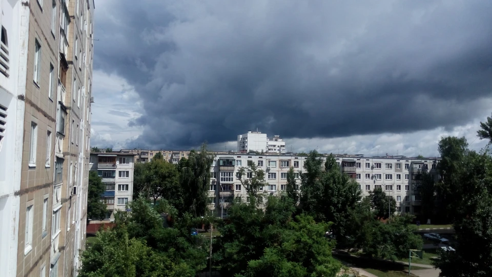 Жара, дождь и грозы ожидаются в Белгородской области в эту пятницу.