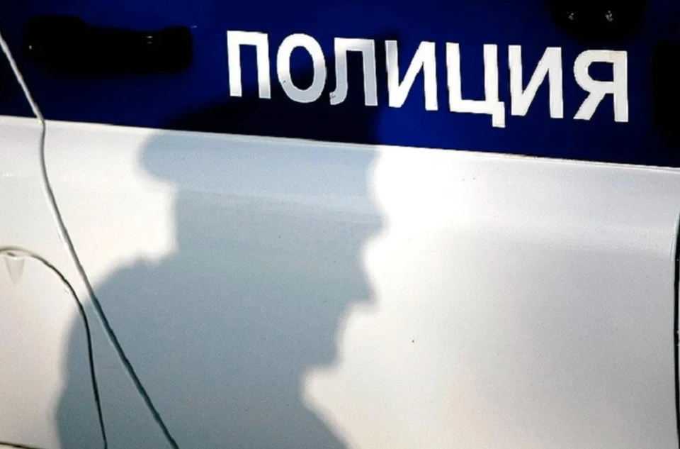 По предварительным данным, водитель «Лады» хотел обогнать Renault Duster, но не справился с управлением.