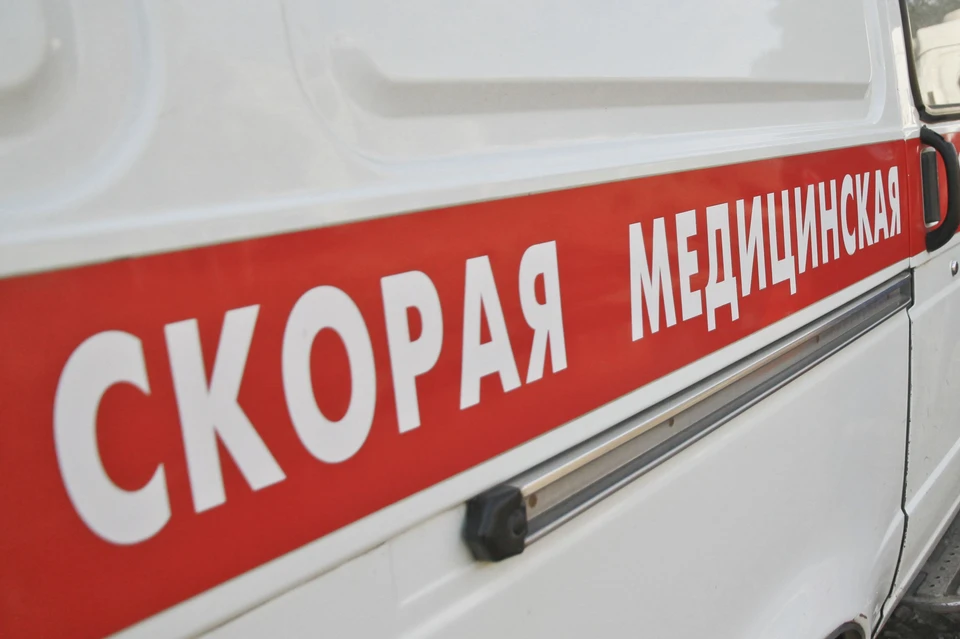 Полицейские проводят проверку