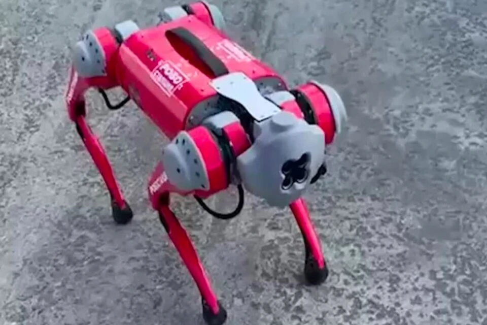 Собака-робот временно поселится на территории зоопарка