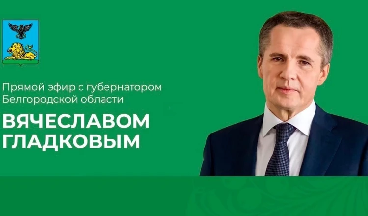 Губернатор подтвердил обнаружение в Белгородской области мин-«лепестков»