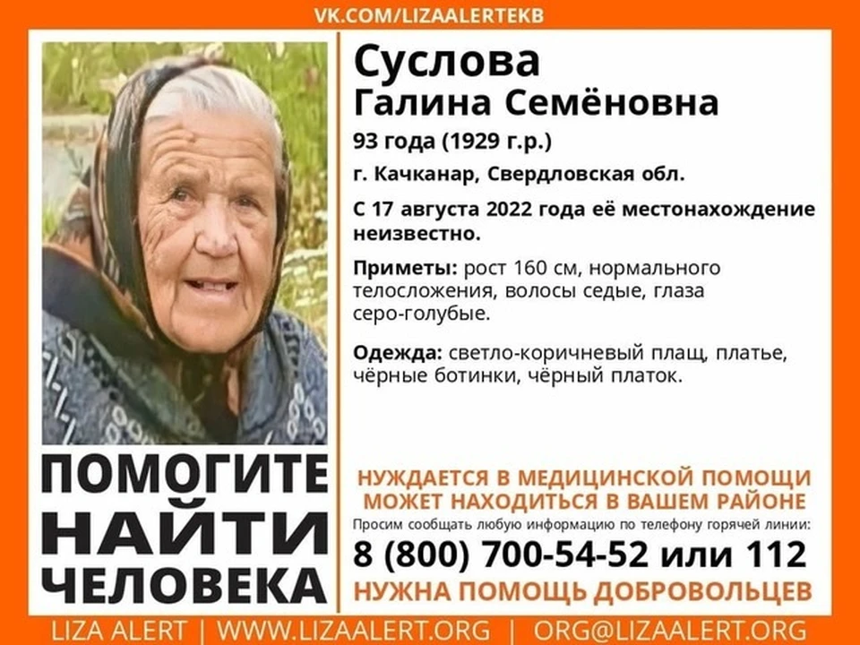 Фото: поисковый отряд "ЛизаАлерт"