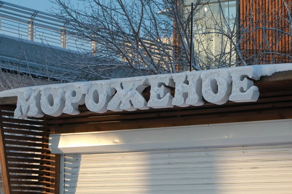 Красноярский край отправил в Монголию более 8 тонн мороженого