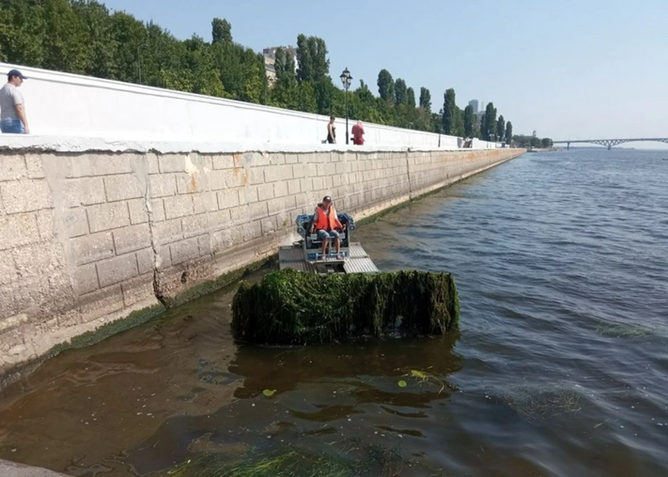 Амфибия на Волге