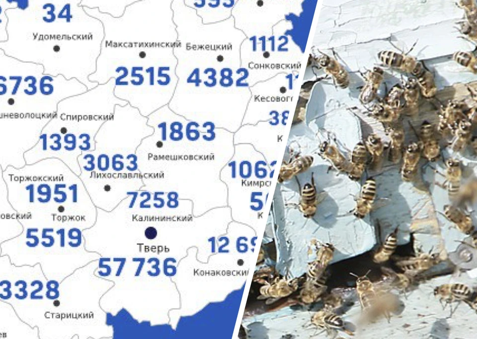 2 августа какое число. Август числа 2025. последние новости по украине на сейчас 25 августа 2025 года. количество заболевших коронавирусом в барнауле за 25 августа 2025.