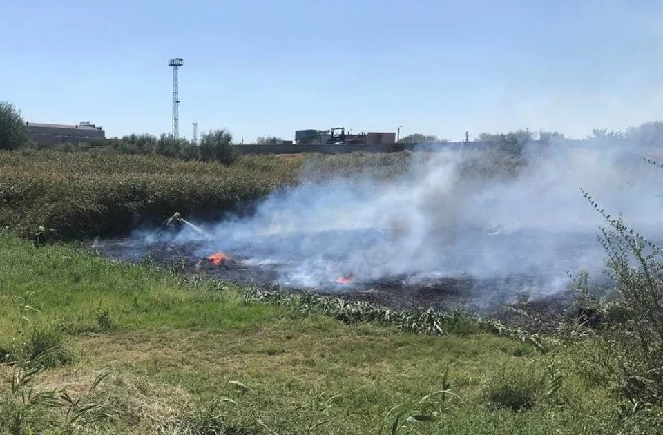 В Астрахани 5 часов горело более 1 000 квадратных метров камыша