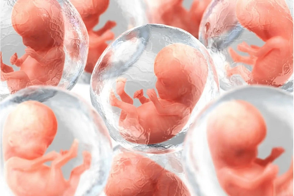 Биологи объявили о планах выращивать зародышей, чтобы пускать их на запчасти для больных и дряхлых людей. Фото: Getty Images