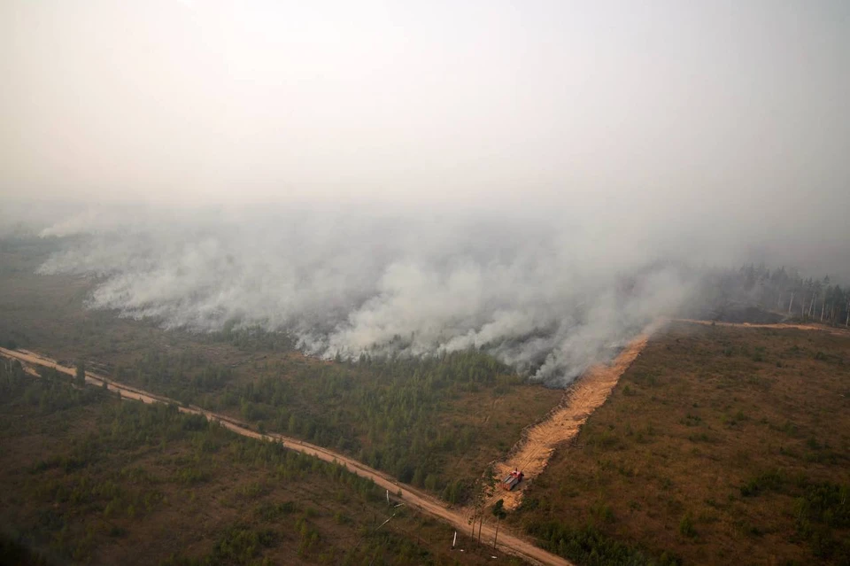Лесной пожар под Рязанью перекинулся на торфяники. Фото: Telegram-канал Сергея Собянина.