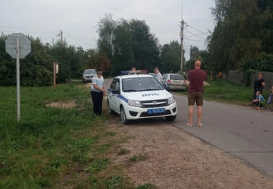 В ДТП пострадала шестилетняя девочка Фото: vc.com/Михайловское сельское поселение