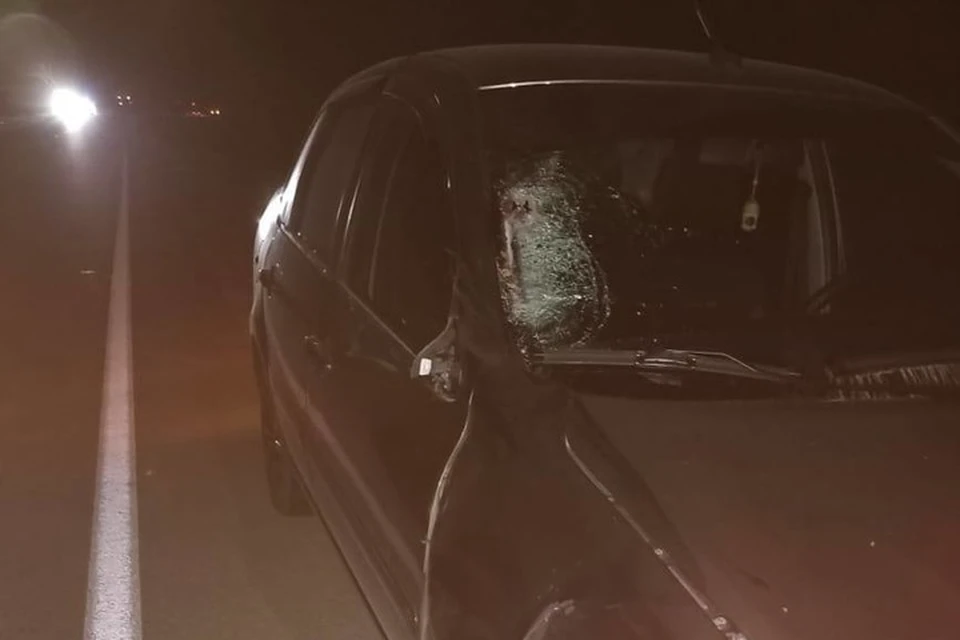ДТП произошло на 23 километре автодороги «Йошкар-Ола – Уржум». Фото: Госавтоинспекция Марий Эл
