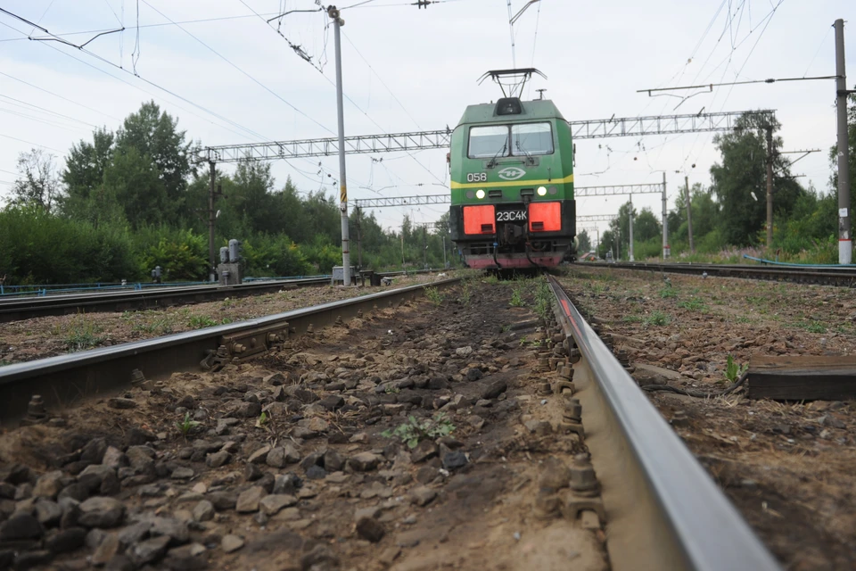 Грузовой поезд сбил мужчину в Ленобласти