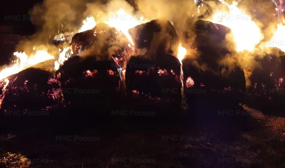 На место направлен инспектор ГПН