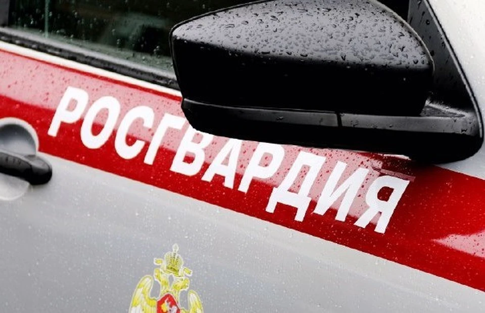 Фото: Росгвардия по Республике Крым и городу Севастополю/Telegram