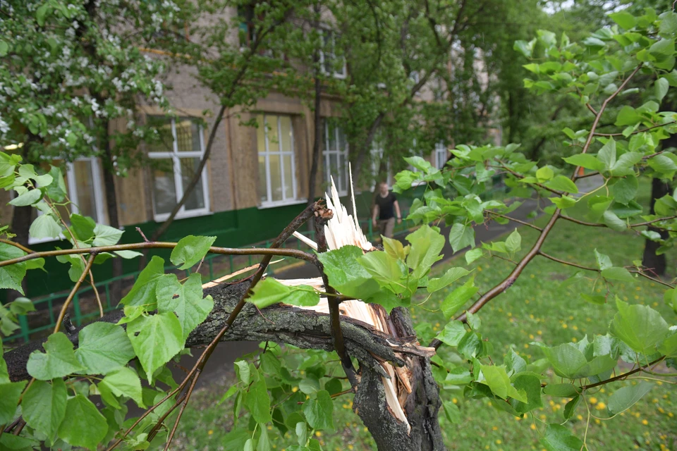 При порывах ветра следует держаться в стороне от деревьев и слабоукрепленных конструкции